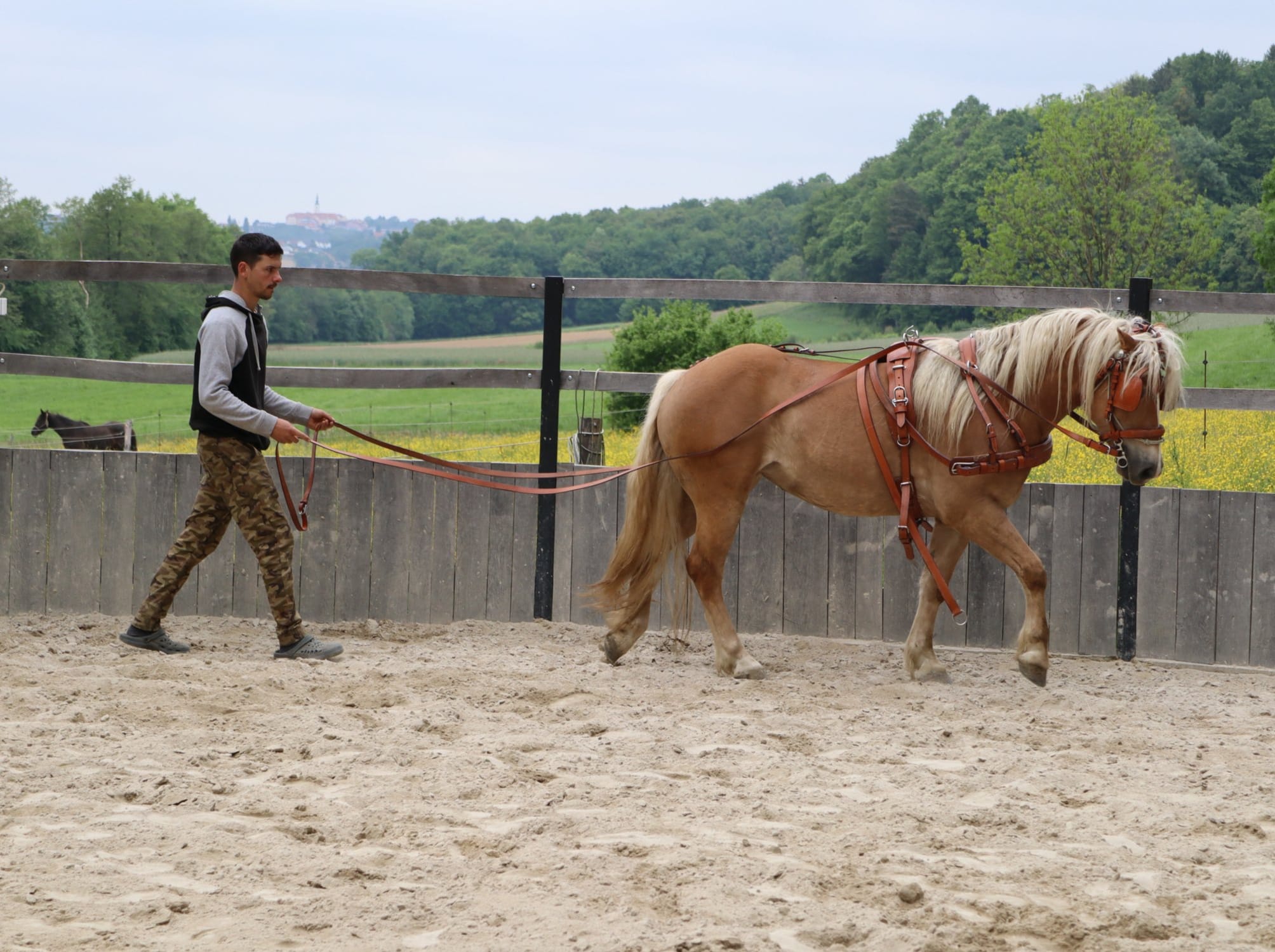 trainings9